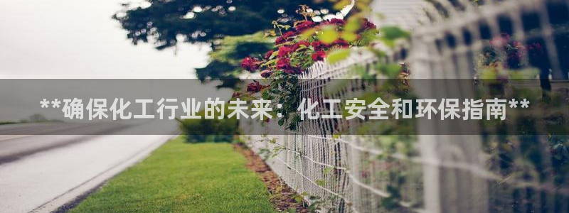 亿万先生手机版入口在哪：**确保化工行业的未来：化工安全和环保指南**