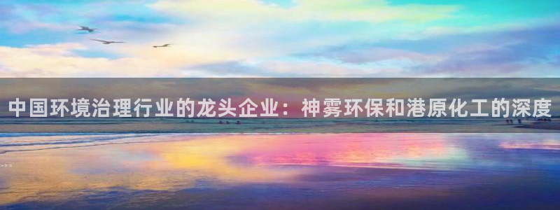 亿万先生首页：中国环境治理行业的龙头企业：神雾环保和港原化工的深度