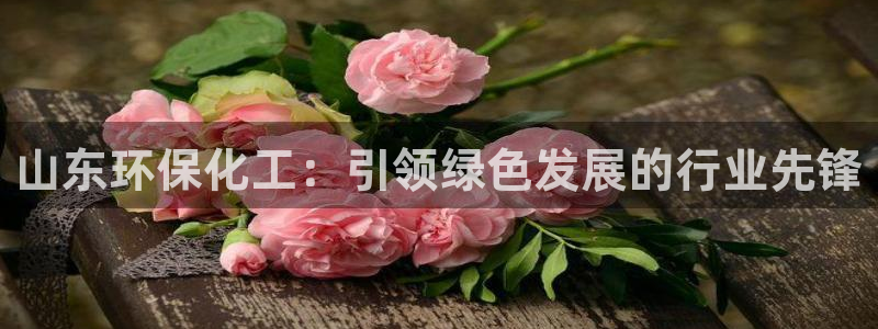 亿万官网字幕组官网下载：山东环保化工：引领绿色发展的行业先锋