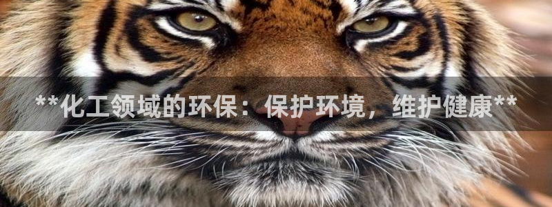 亿万下载：**化工领域的环保：保护环境，维护健康**