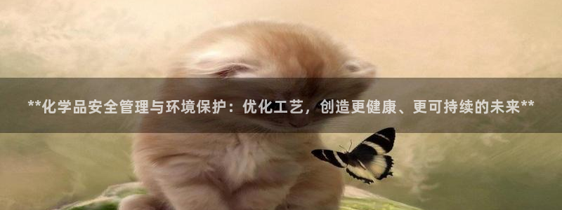 亿万手游官网：**化学品安全管理与环境保护：优化工艺，创造更健康、更可持续的未来**