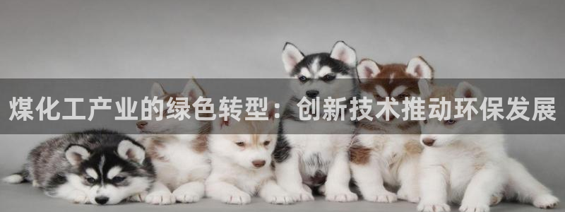 亿万手游官网：煤化工产业的绿色转型：创新技术推动环保发展