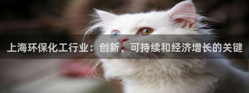 亿万第一季解说