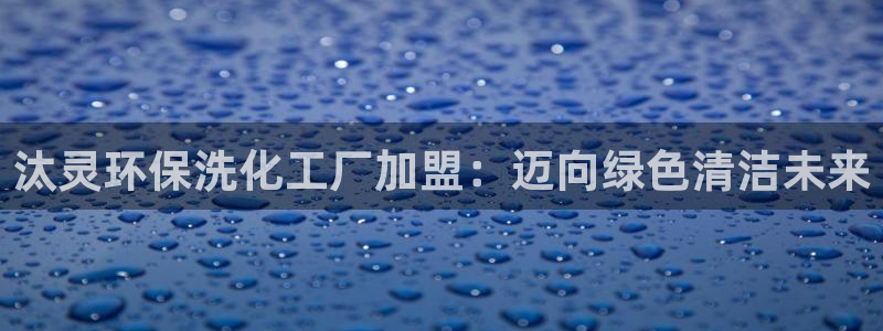 亿万剪辑：汰灵环保洗化工厂加盟：迈向绿色清洁未来