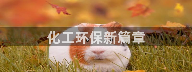 亿万国际合法吗：化工环保新篇章
