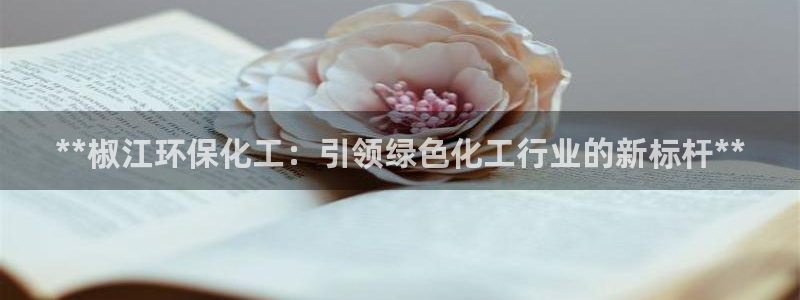 亿万先生官方网站首页：**椒江环保化工：引领绿色化工行业的新标杆**