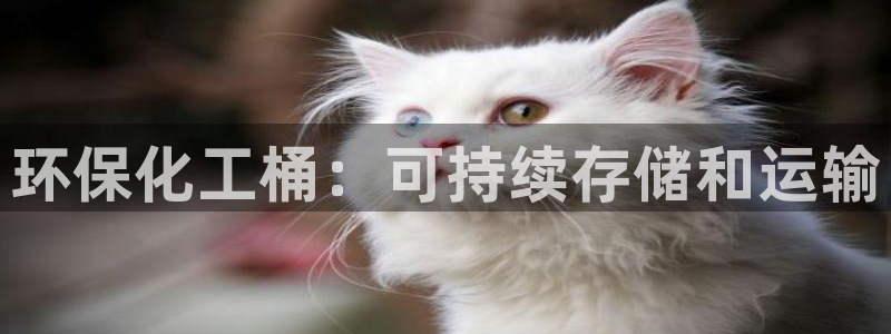 亿万网友在线实时为您解答：环保化工桶：可持续存储和运输