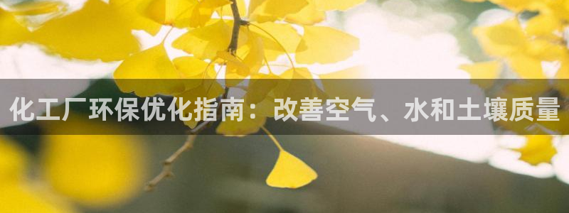 亿万网络科技有限公司ceo：化工厂环保优化指南：改善空气、水和土壤质量