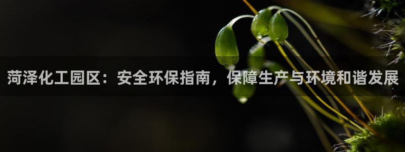 亿万剧情介绍：菏泽化工园区：安全环保指南，保障生产与环境和谐发展