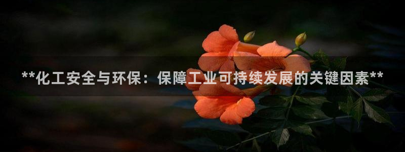 亿万先生手机版客户端下载官网：**化工安全与环保：保障工业可持续发展的关键因素**