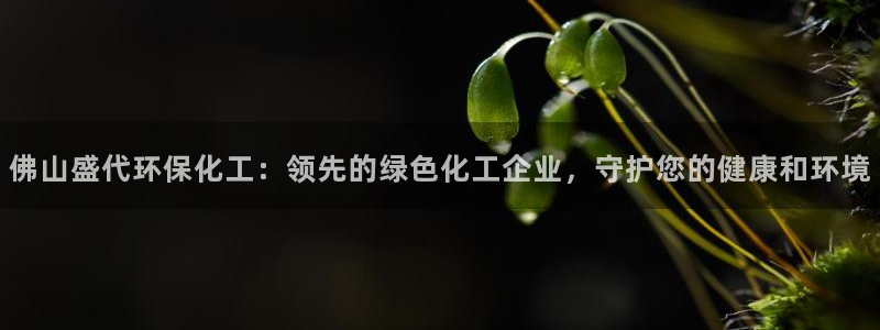 亿万先生充电桩怎么样：佛山盛代环保化工：领先的绿色化工企业，守护您的健康和环境
