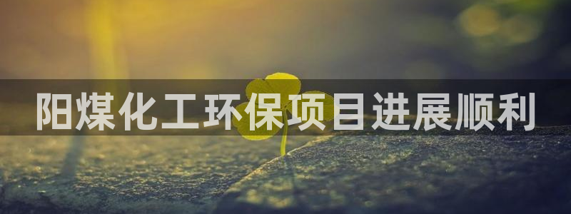 亿万先生游戏平台网址：阳煤化工环保项目进展顺利