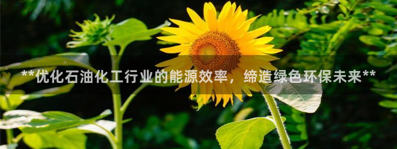 亿万先生客户端官网首页：**优化石油化工行业的能源效率，缔造绿色环保未来**