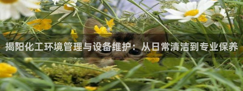 亿万先生手机版入口在哪看：揭阳化工环境管理与设备维护：从日常清洁到专业保养
