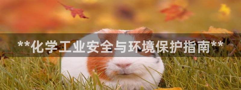 亿万网友在线实时为你解答：**化学工业安全与环境保护指南**