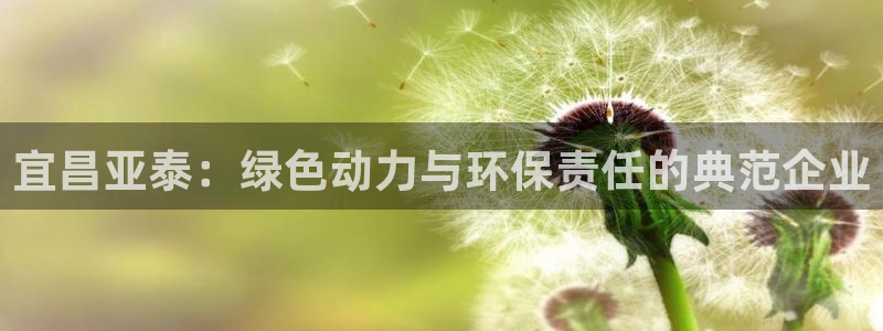 亿万首富游戏破解版无限钻石：宜昌亚泰：绿色动力与环保责任的典范企业