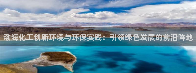 亿万先生情侣车有什么用：渤海化工创新环境与环保实践：引领绿色发展的前沿阵地