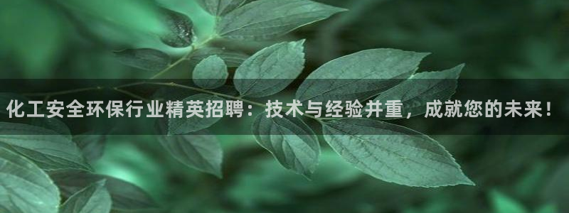 亿万网友在线实时为您解答：化工安全环保行业精英招聘：技术与经验并重，成就您的未来！