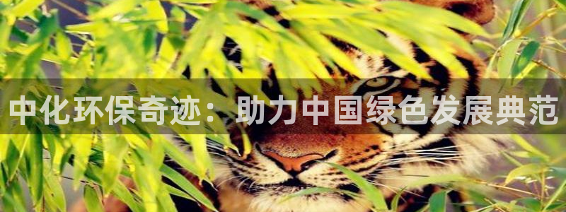 亿万先生换网址了吗知乎：中化环保奇迹：助力中国绿色发展典范