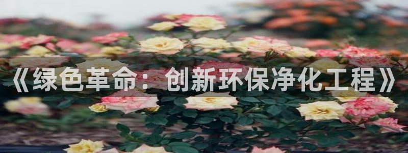 亿万先生：《绿色革命：创新环保净化工程》