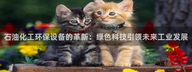 亿万网友在线解答：石油化工环保设备的革新：绿色科技引领未来工业发展