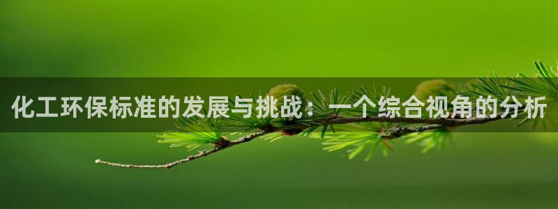 亿万第一集：化工环保标准的发展与挑战：一个综合视角的分析