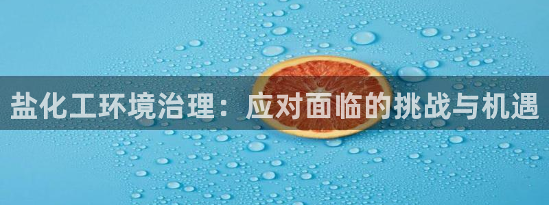亿万先生mr01官网 - 亿万先生手机版入：盐化工环境治理：应对面临的挑战与机遇