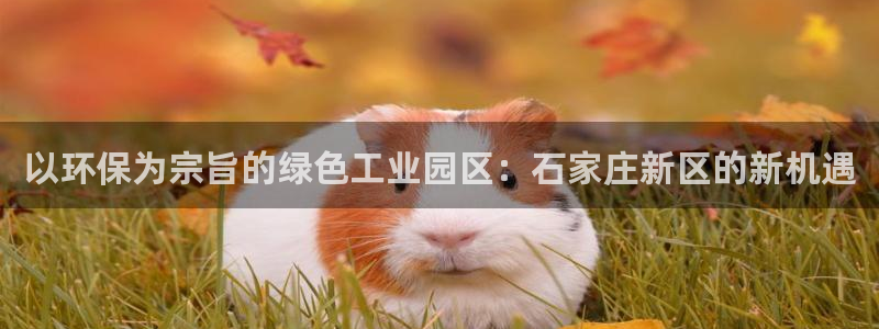 亿万先生mr网址：以环保为宗旨的绿色工业园区：石家庄新区的新机遇