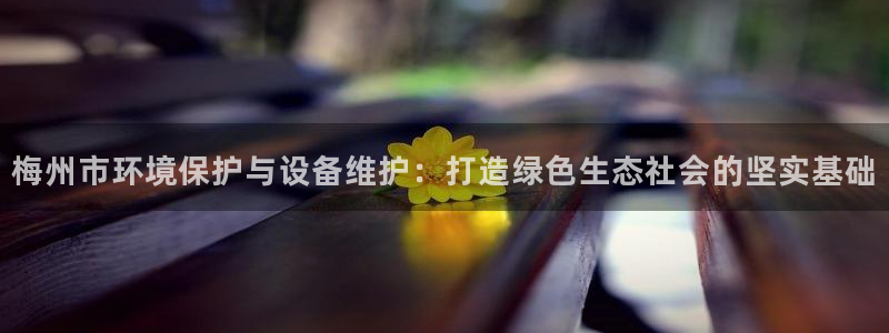 亿万28下载地址：梅州市环境保护与设备维护：打造绿色生态社会的坚实基础
