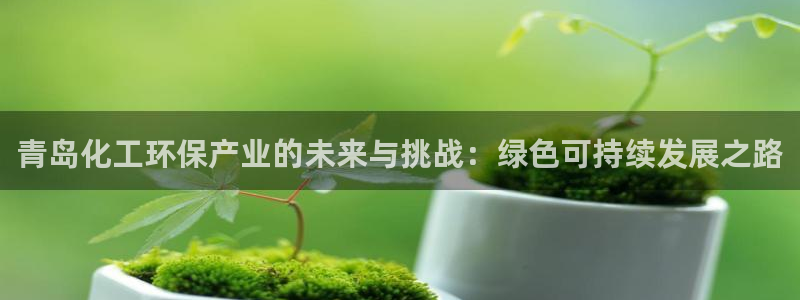亿万先生网页版：青岛化工环保产业的未来与挑战：绿色可持续发展之路