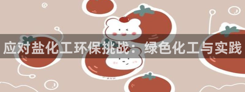 亿万先生换网址了吗：应对盐化工环保挑战：绿色化工与实践