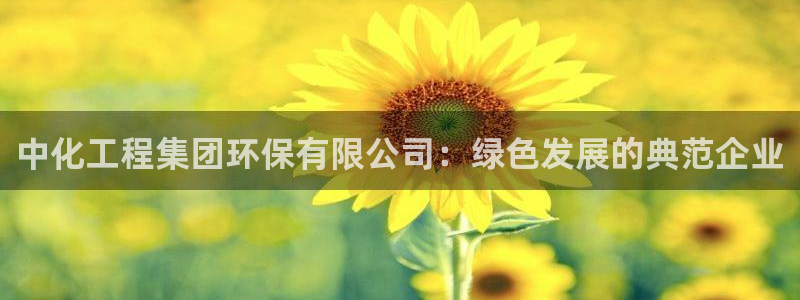 亿万先生游戏：中化工程集团环保有限公司：绿色发展的典范企业
