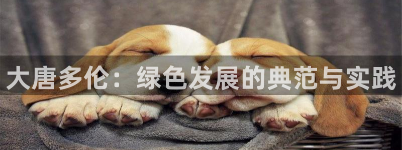 亿万先生下载网址app