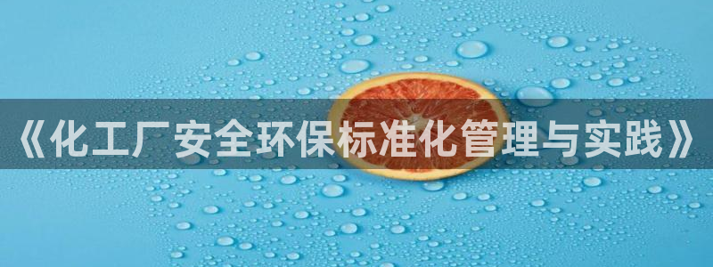 亿万先生换网址了吗：《化工厂安全环保标准化管理与实践》