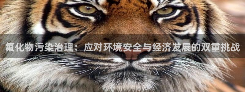 亿万先生官方网站客户端下载安装最新版：氟化物污染治理：应对环境安全与经济发展的双重挑战
