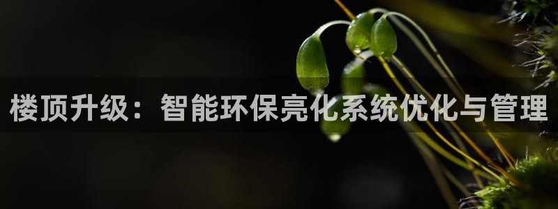 亿万同人字幕组的个人主页：楼顶升级：智能环保亮化系统优化与管理