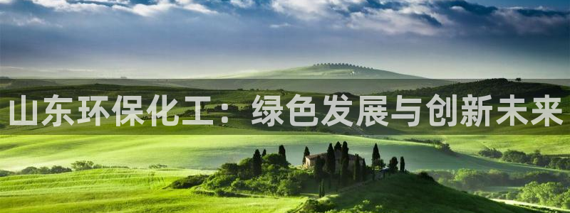 亿万 下载：山东环保化工：绿色发展与创新未来