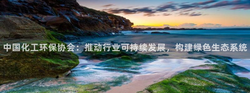 mr亿万先生：中国化工环保协会：推动行业可持续发展，构建绿色生态系统