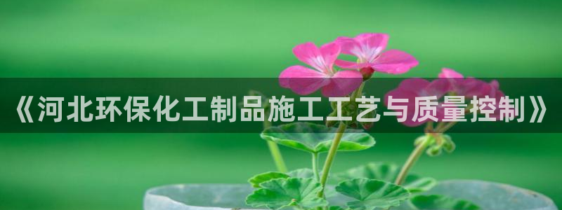 亿万先生是男是女：《河北环保化工制品施工工艺与质量控制》