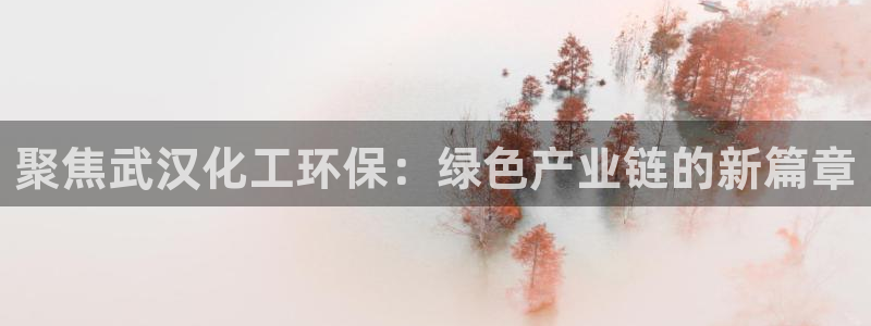 亿万网红：聚焦武汉化工环保：绿色产业链的新篇章