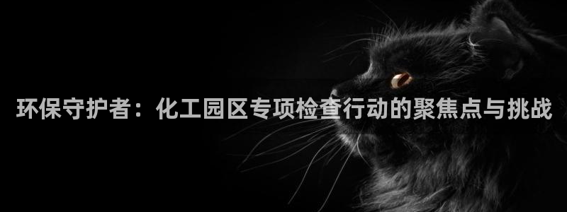 亿万先生官方网站首页：环保守护者：化工园区专项检查行动的聚焦点与挑战