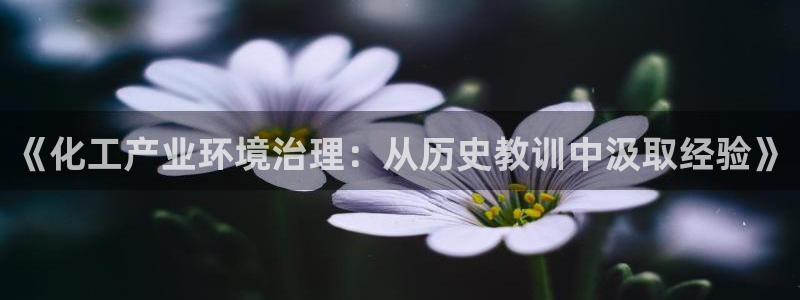 亿万剧情简介：《化工产业环境治理：从历史教训中汲取经验》