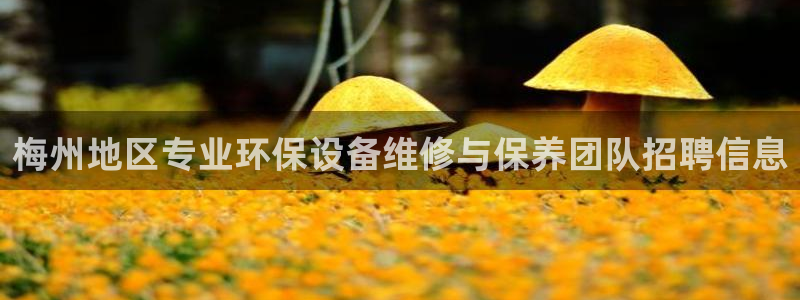 亿万解析：梅州地区专业环保设备维修与保养团队招聘信息