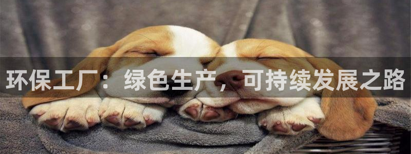 亿万先生 手机版下载安装：环保工厂：绿色生产，可持续发展之路