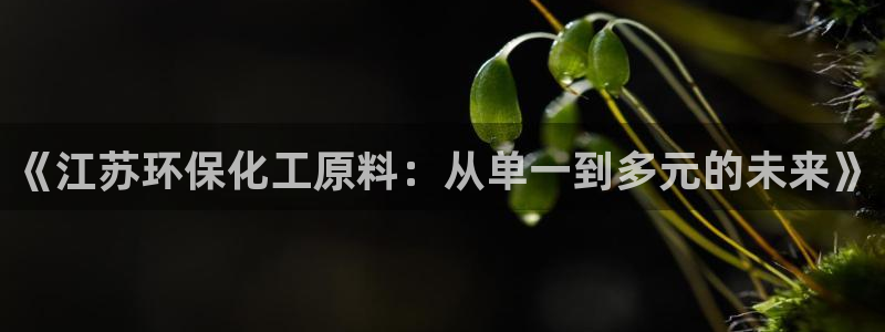 亿万先生 手机版下载：《江苏环保化工原料：从单一到多元的未来》