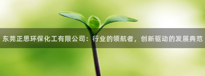 亿万乐购生活超市：东莞正思环保化工有限公司：行业的领航者，创新驱动的发展典范