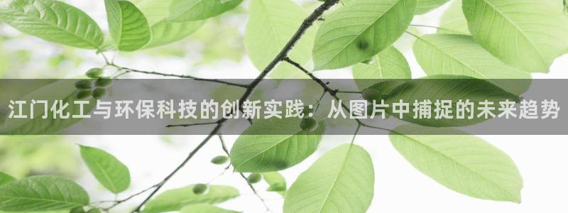 mr亿万先生：江门化工与环保科技的创新实践：从图片中捕捉的未来趋势