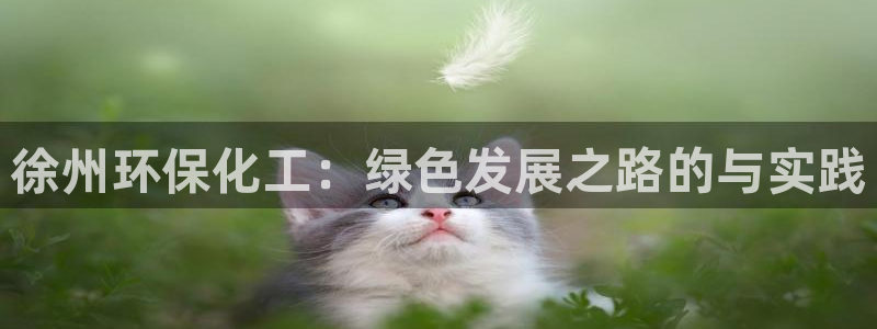 亿万先生手游下载官网：徐州环保化工：绿色发展之路的与实践