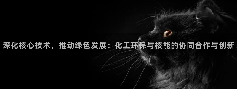 亿万先生合并：深化核心技术，推动绿色发展：化工环保与核能的协同合作与创新