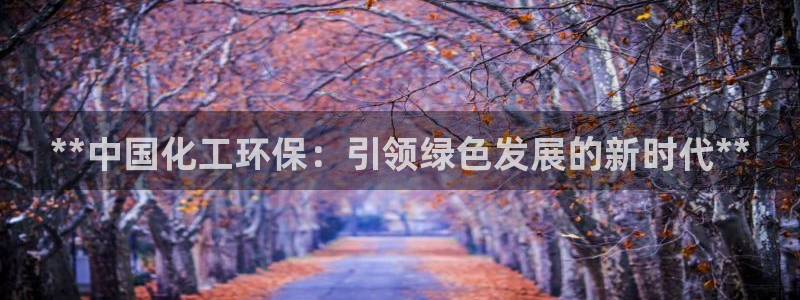 亿万先生是男是女：**中国化工环保：引领绿色发展的新时代**